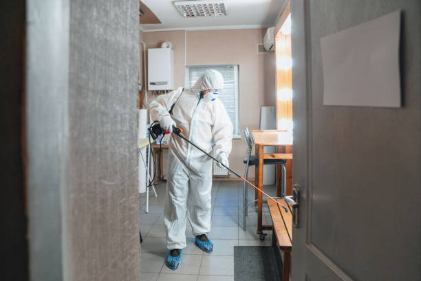 Best Asbestos and Lead Testing During Mold Inspection  in Bellville, TX