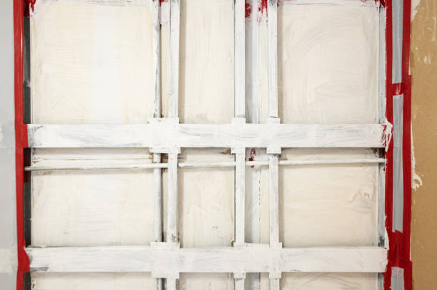 Best Mold Odor Removal Services  in Bellville, TX