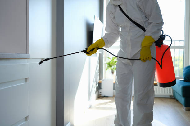 Best Biohazard Mold Removal  in Bellville, TX