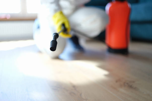 Best Commercial Mold Inspection  in Bellville, TX